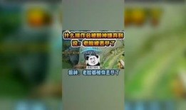 瓜妹小天使爆料视频,揭秘视频背后的惊人真相