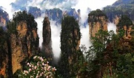 张家界爆料视频大全下载