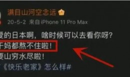 内鬼爆料的视频都是从哪来的,揭秘网络内幕的神秘渠道