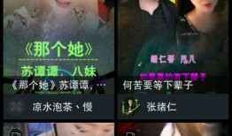 抖音爆料八卦怎么弄的视频,如何轻松制作热门视频教程