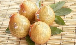 柚子娱乐吃瓜队队长,柚子娱乐吃瓜队队长揭秘娱乐圈幕后真相