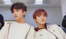 最新爆料大鲜肉视频大全,最新爆料，带你领略网络红人的魅力瞬间