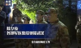 武汉捐献热血爆料事件视频,真相与争议的交织