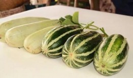 tg网红吃瓜频道,带你领略娱乐圈幕后风云