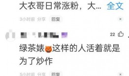 陈亚楠采访爆料视频,揭秘娱乐圈幕后真相