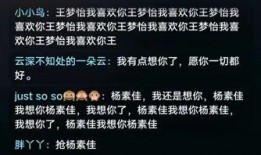 新闻爆料四川观察,揭秘新闻爆料背后的真相与影响