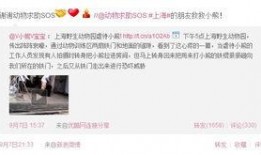 动物园员工爆料视频,员工爆料真实工作幕后