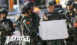 利刃突击全集在线观看,揭秘特种兵的生死较量与忠诚信仰