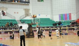 浙江篮球队爆料视频播放,揭秘球队幕后故事