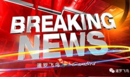 爆料缅甸泰国视频大全,视频大全带你领略异国魅力