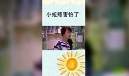 小鞠爆料解说视频大全,精彩瞬间回顾与深度解析