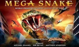 狂蟒天灾 在线观看,惊心动魄的巨蟒复仇之旅