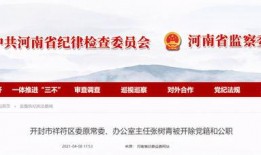 河南新闻视频爆料大全