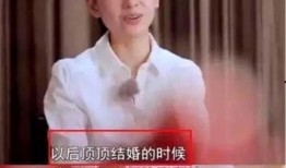 董洁内部爆料视频大全集,揭秘娱乐圈不为人知的一面