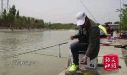 小品钓鱼视频在线观看,小品钓鱼视频，欢乐时光尽在掌握