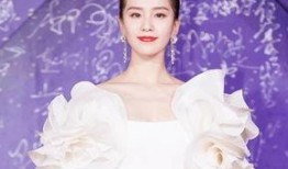 刘诗诗最新爆料,演艺生涯中的幕后故事与心路历程