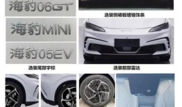 比亚迪海豹爆料视频,颠覆性设计引领新能源轿车新潮流