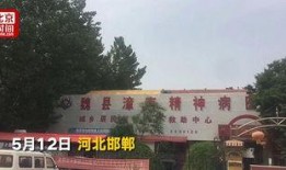 魏县最新爆料新闻,最新爆料揭示惊人真相
