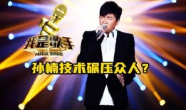 歌手5期完整版在线观看,巅峰对决，精彩瞬间回顾