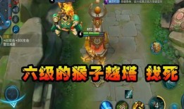 最新六级猴爆料,最新六级猴爆料，带你领略六级考试新动向