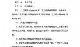 婚前协议在线观看,揭秘婚姻背后的法律与情感博弈