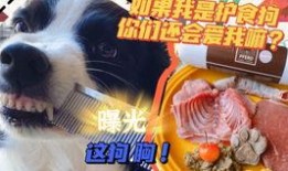 吃鸡最新爆料椰子,吃鸡战场上的神秘生成物揭秘