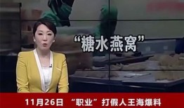 辛巴事件女主爆料视频播放,揭秘背后真相