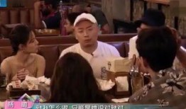 娱乐圈扒料爆料大全,扒料爆料大全深度解析