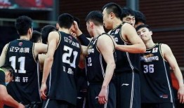 老二爆料杨鸣视频大全,杨鸣视频大全背后的故事与精彩瞬间