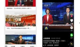 中央卫视媒体爆料视频下载,视频下载背后的真相