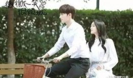 最新爆料大鲜肉视频大全,最新爆料，带你领略网络红人的魅力瞬间