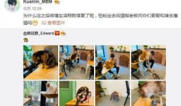 爆料赖冠霖女友视频播放,甜蜜互动引网友热议