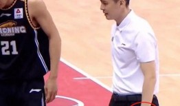 老二爆料杨鸣视频大全,杨鸣视频大全背后的故事与精彩瞬间