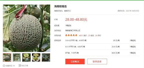 娱乐类吃瓜小说,瓜田里的明星秘闻