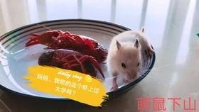 吃瓜娱乐背景板,揭秘娱乐圈幕后那些事儿